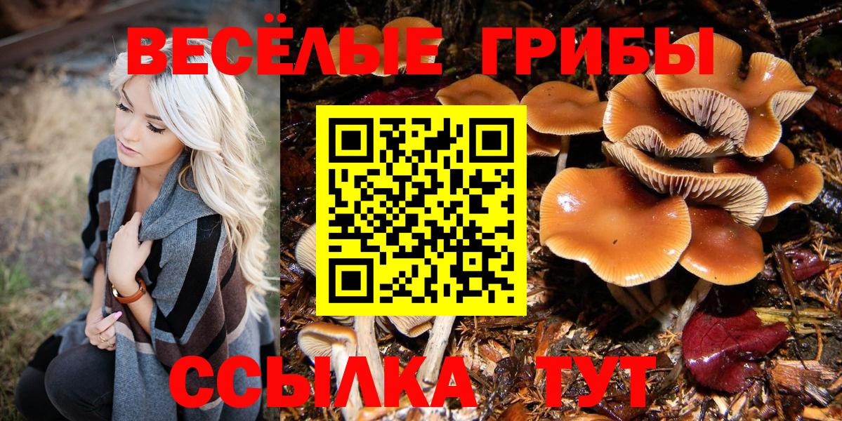 Псилоцибиновые грибы прущие грибы Гудермес